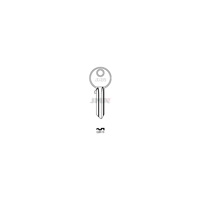 CAY-1I