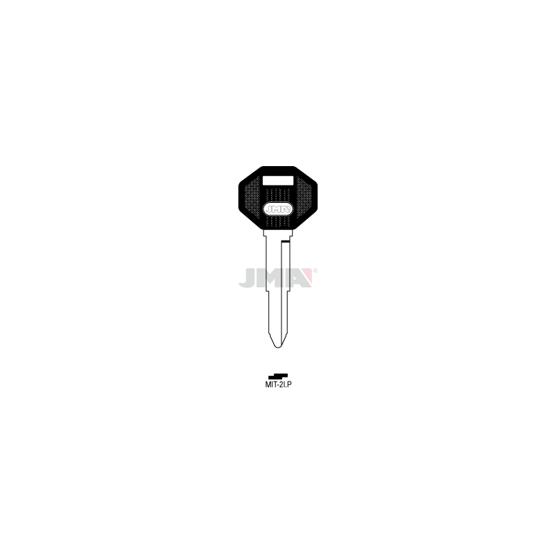 MIT-2IP