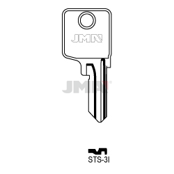 STS-3I