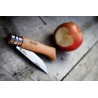 OPINEL BOITE DE 30 COUTEAUX