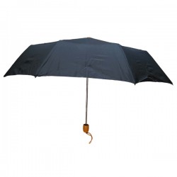 PARAPLUIE MANUEL PETIT MODELE
